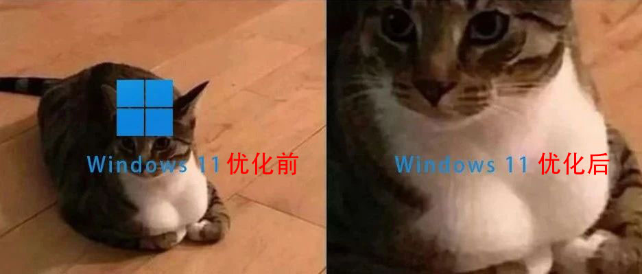 關閉Win 11這些隱藏「性能刺客」后，終于比Win 10還好用了